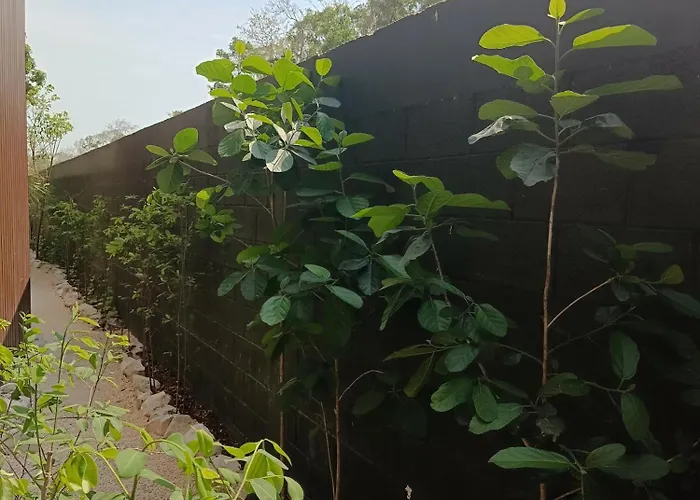 Departamento De 1 Hab Con Balcon En Zona Hotelera Ad * Tulum