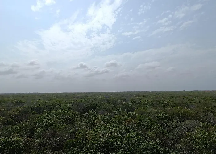 Departamento De 1 Hab Con Balcon En Zona Hotelera Ad Tulum