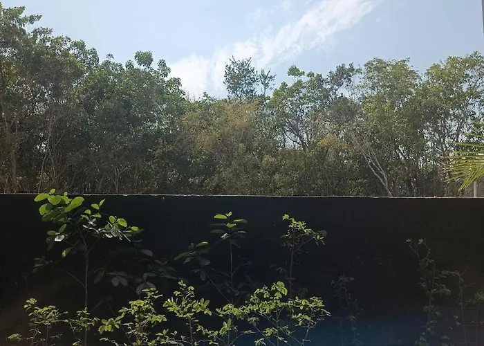 Departamento De 1 Hab Con Balcon En Zona Hotelera Ad Tulum